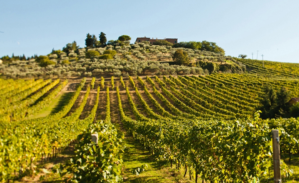 Cantina Palazzo Astolfi