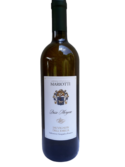 Sauvignon dell’Emilia IGP fermo “Passo Morgone” 