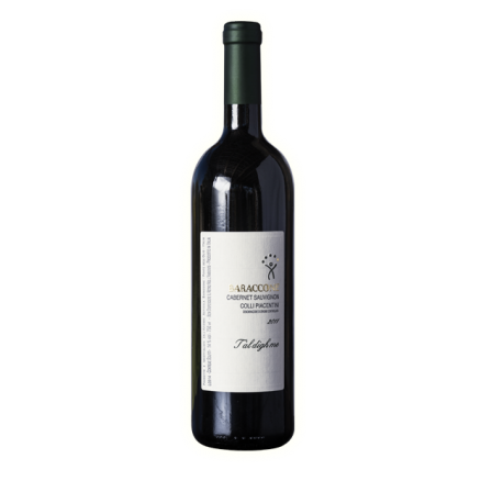 Cabernet Sauvignon C.P DOC 2013 - T'al Digh me