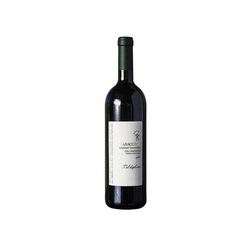 Cabernet Sauvignon C.P DOC 2013 - T'al Digh me