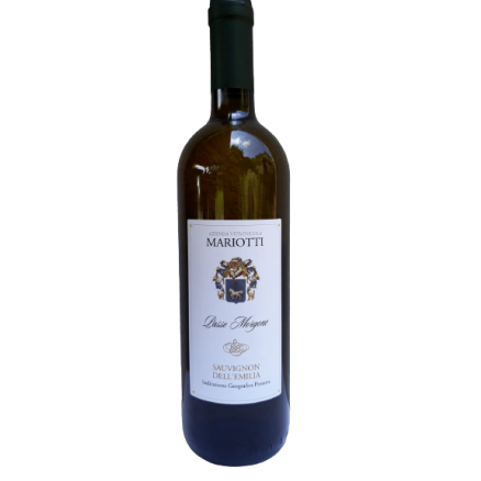 Sauvignon dell’Emilia IGP fermo “Passo Morgone” 2017