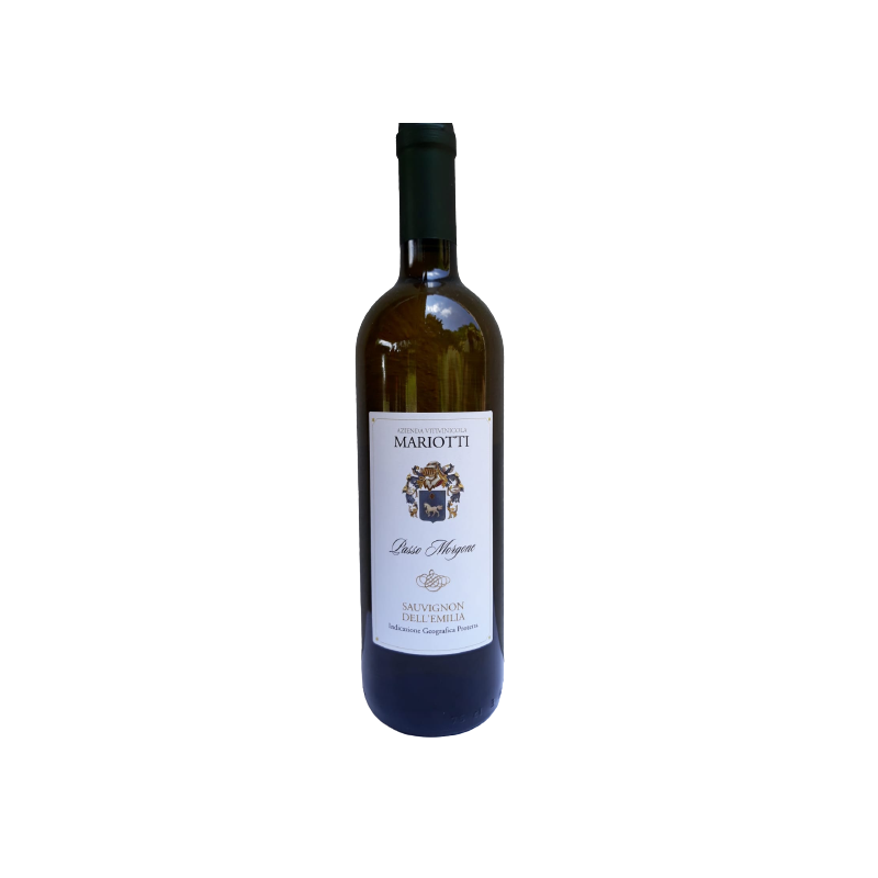 Sauvignon dell’Emilia IGP fermo “Passo Morgone” 2017