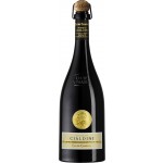 Vigneto Cialdini - Lambrusco Grasparossa di Castelverto DOC