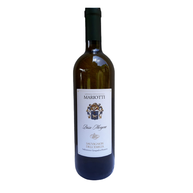 Sauvignon dell’Emilia IGP fermo “Passo Morgone” 2017