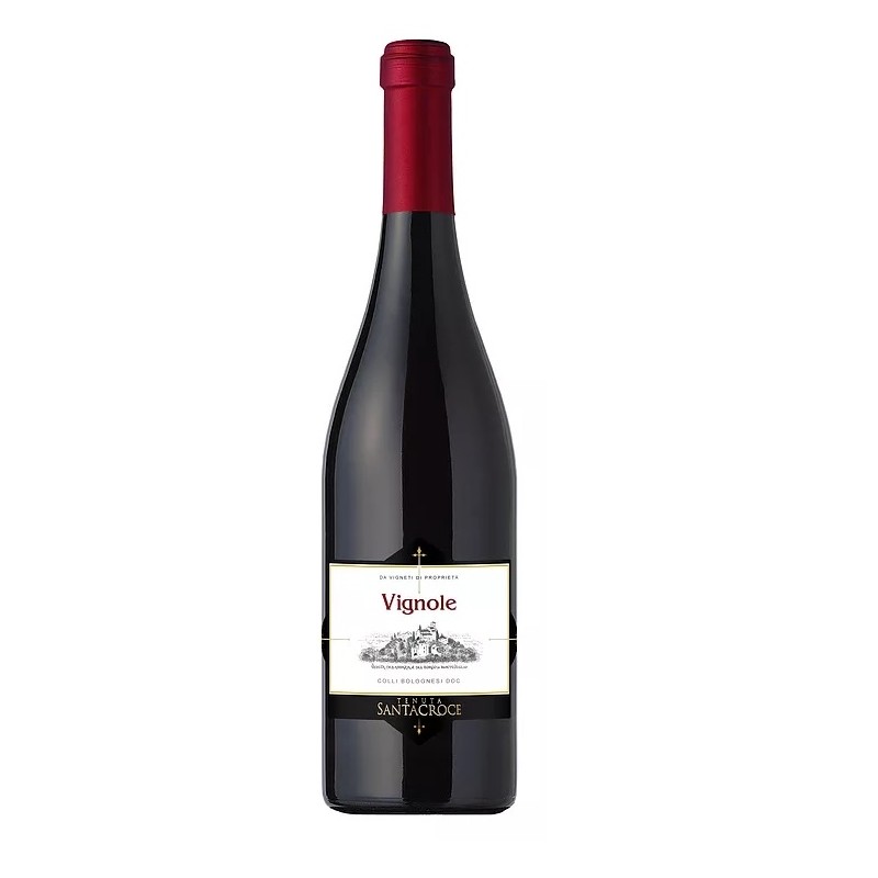 Vignole Barbera Colli Bolognesi DOC